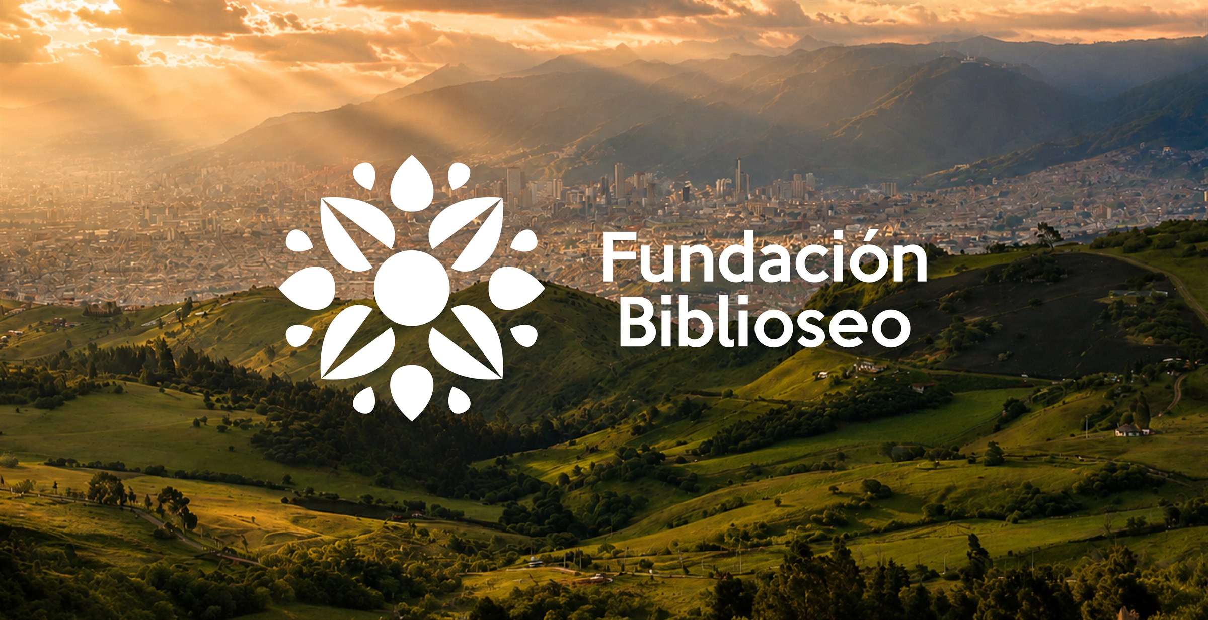Identidad visual de Fundaci&oacute;n Biblioseo