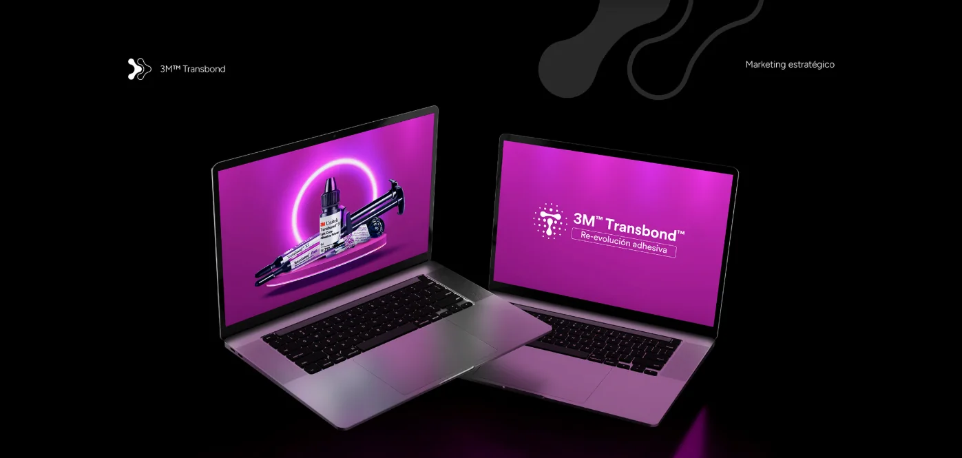 Proyecto Transbond